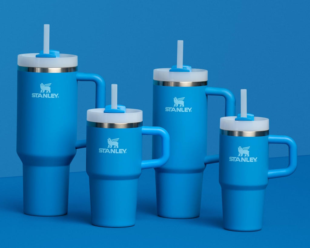 Stanley Quencher H2.0 14 oz Insulated Stainless Steel Tumbler with Handle, Straw, and FlowState™ 3-Position Lid in Azure